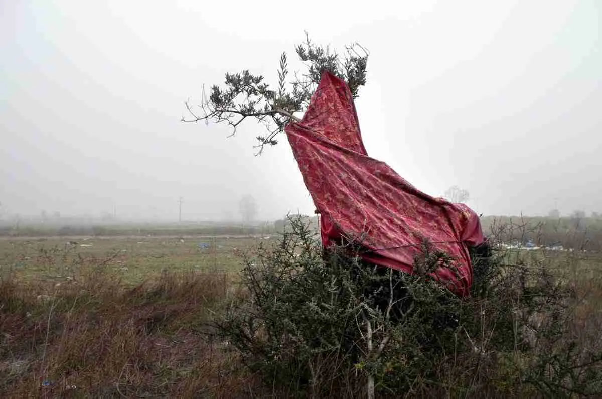 Stavros Stamatiou’s “Street as a Mirror”
