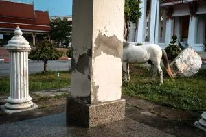 Sakulchai Sikitikul’s “As it happened” White Edition