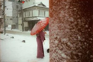 Shin Noguchi’s “In Color in Japan” White edition