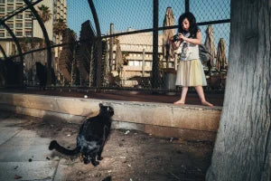 The Pursuit Of The Numinous by Barry Talis
