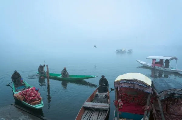 To Be India by Roshani Shah
