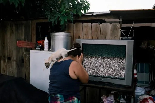 Cue the Birds by Mark Abramson