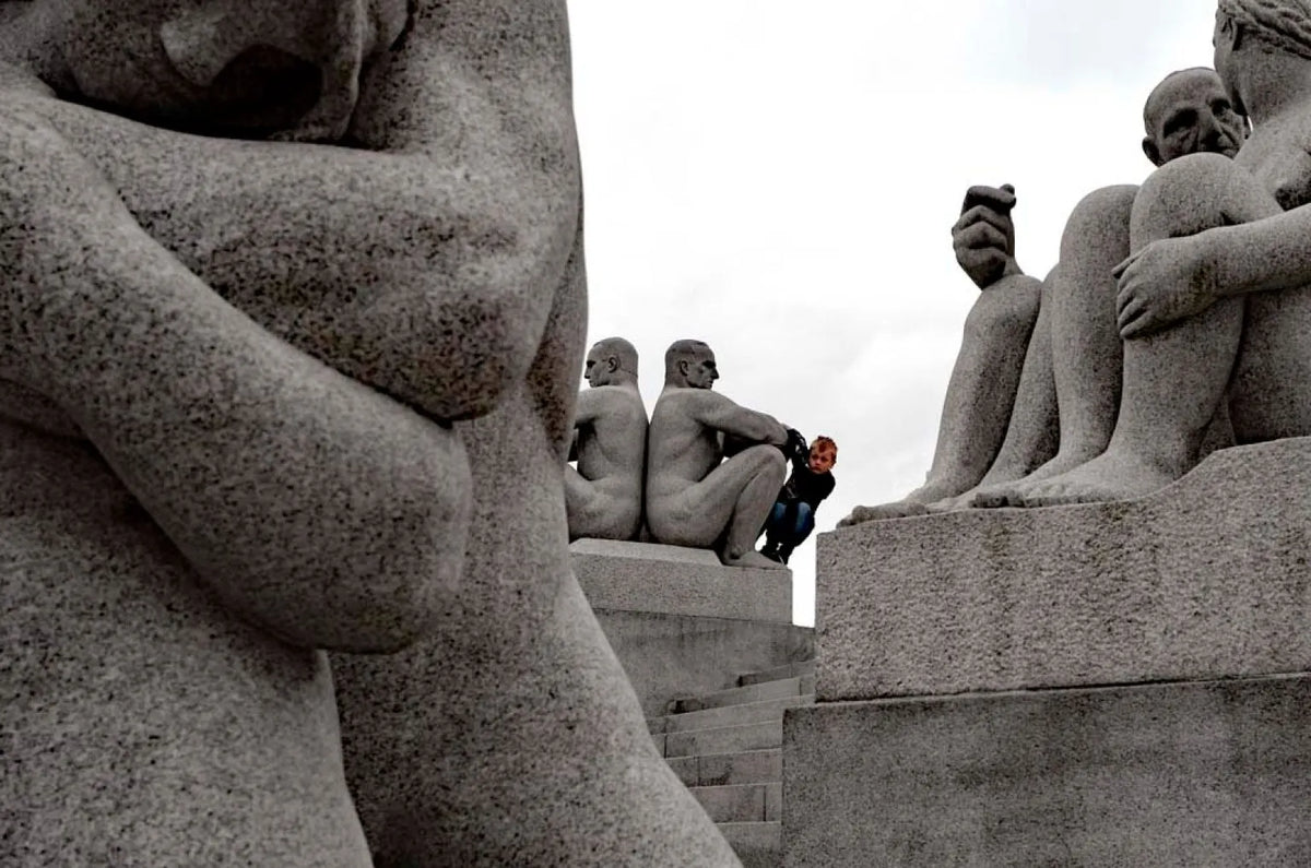 Incidental Precision by Siegfried Hansen