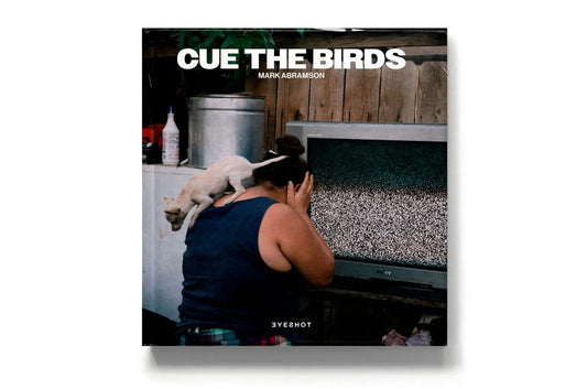 Cue the Birds by Mark Abramson