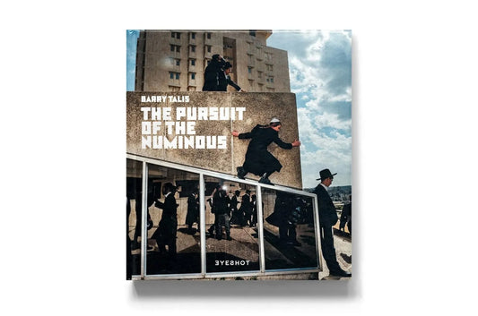 The Pursuit Of The Numinous by Barry Talis