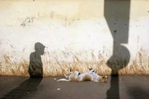 Talk On The Street by David Gibson