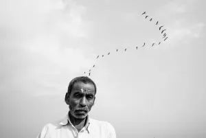 Vineet Vohra’s “Serendipity”